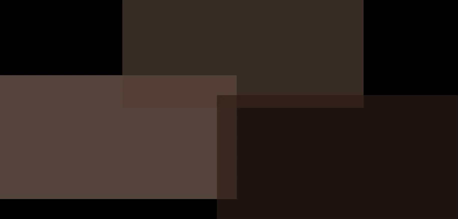 Our services diagram